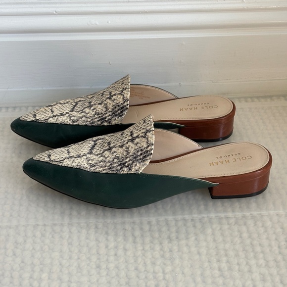 TriColor Snakeskin Mules - Picture 1 of 5